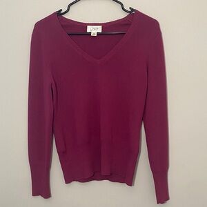 LOFT Merino Wool/Cashmere Blend V-Neck Pink Sweater